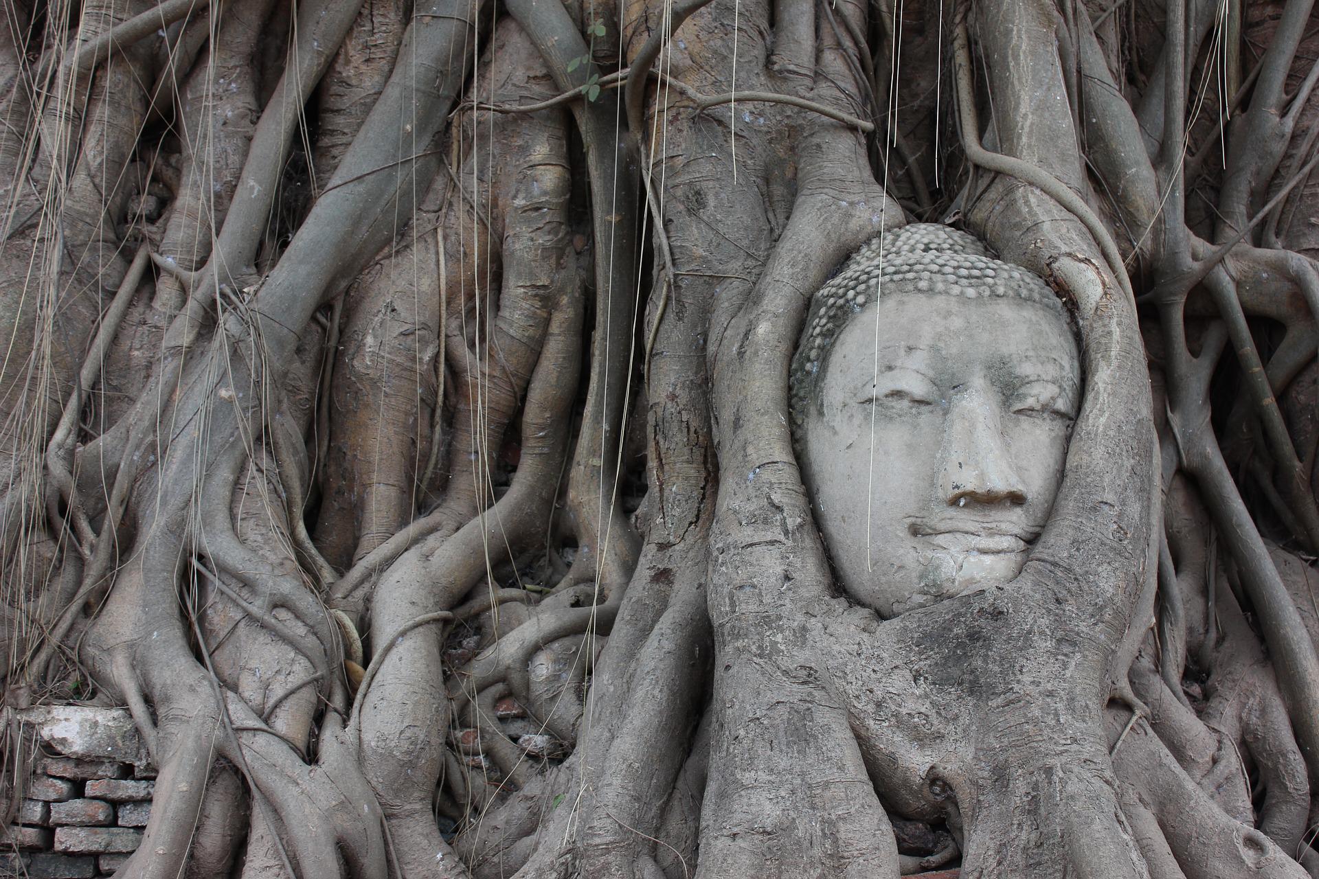 /upload/ajetour/image/tourinfo/TH/BKK/ajetour_ti0120_30000710.jpg